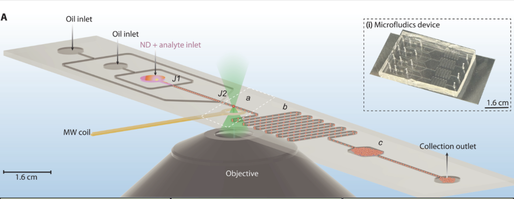 Quantum Sensors